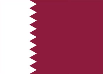 Qatar Plastic Security Seals